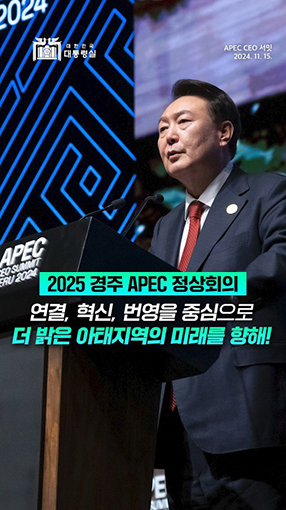 2025 APEC CEO 서밋 개최지 대한민국! #대한민국 #shorts